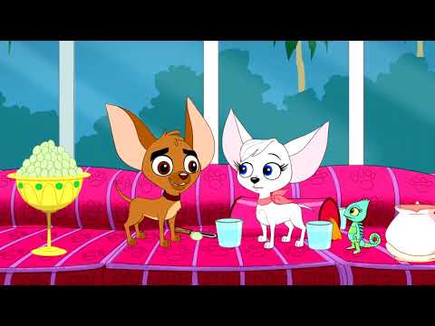 Beverly Hills Chihuahua - Pilot