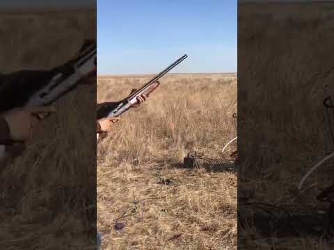 Savage Renagauge 12ga Shotgun Review
