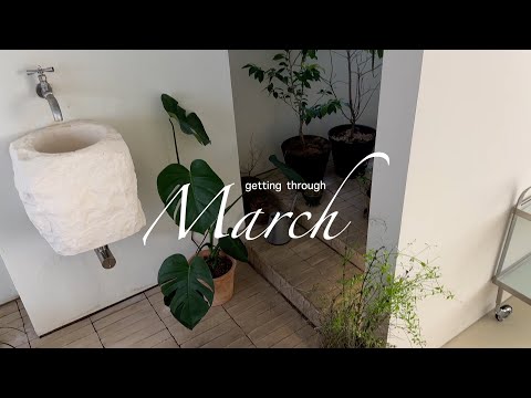 getting through March 마당정리. 뜨개로그. 한남동데이트. 아라비아핀란드언박싱. 시루랑 산책하기 좋은 날들🐾