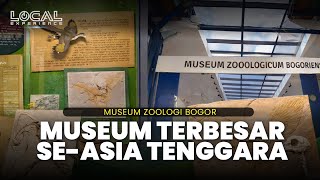 Wisata Edukatif di Bogor: Menjelajah Museum Zoologi Legendaris