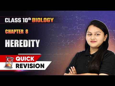 Chemical Reactions and Equations Quick Revision Class 10 Chemistry Chapter 1 CBSE 2024 25