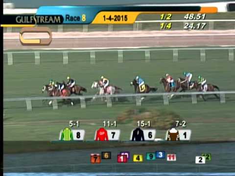 Gulfstream Park Race 8 / January 4, 2015