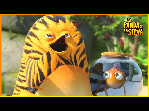 La roca estelar | La Pandilla de la Selva | 45' Compilación | Dibujos Animados para Niños