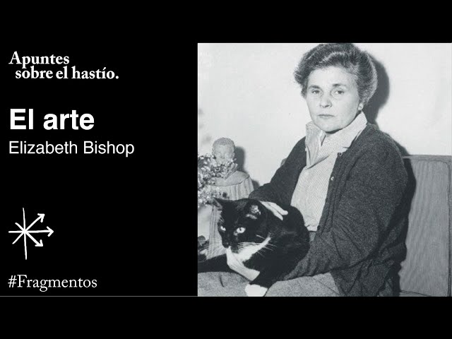 Vídeo relacionado con Antología poética: 505 (Visor de Poesía)
