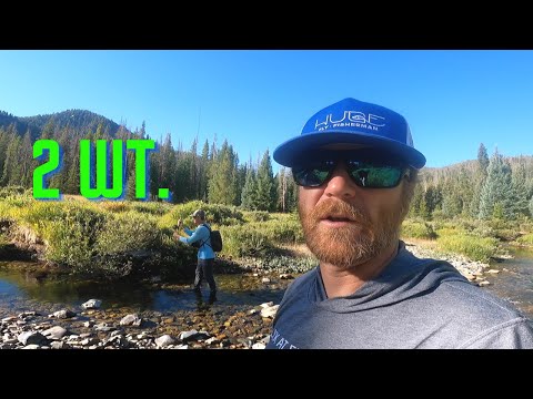 NOBODY FISHES HERE! - exploring a small creek