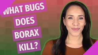 What bugs does borax kill?