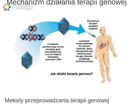 Ćwiczenia dla rozwoju mięśnia piersiowego większego Jak zbudować mięśnie księży