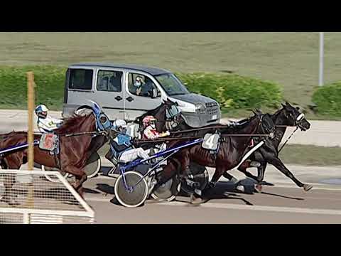 Aversa trotto 26 Settembre 2020 - 5° Corsa