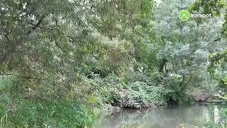 von Stahmeln durch den Auwald 17 September 2021