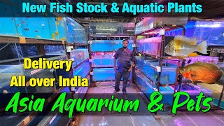 WHAT'S Hiding in ASIA AQUARIUM's NEW FISH STOCK? Delivery Available All Over India