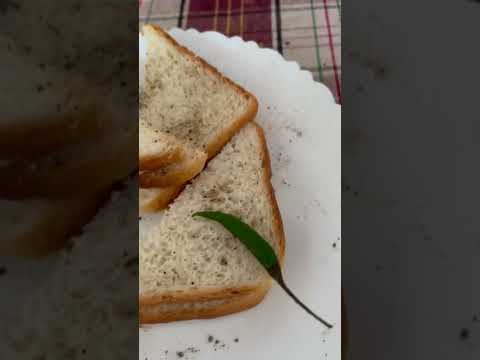 Bread 🥖 Zinzer Butter 🧈 A2 Haldi Milk 🥛 #shorts