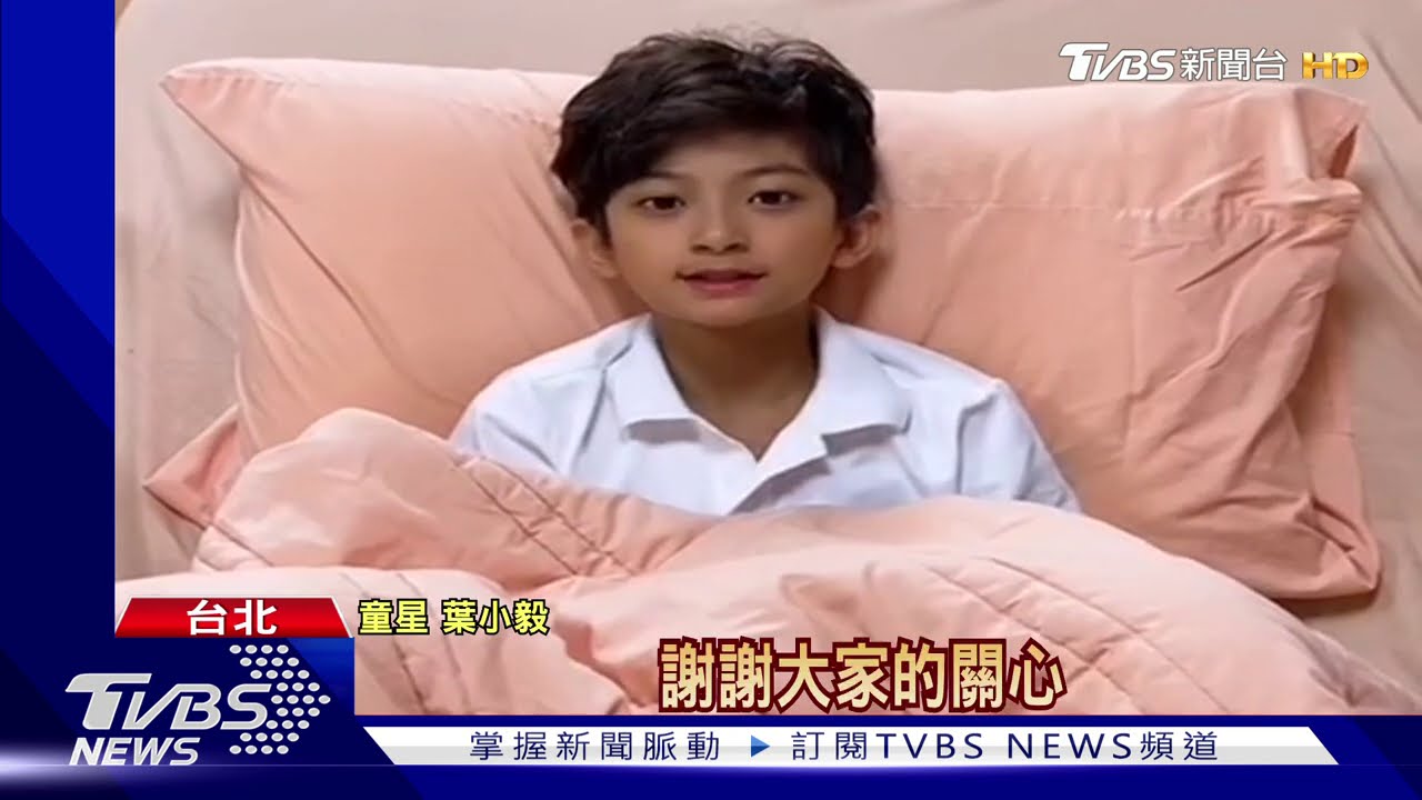 童星葉小毅外拍遭蜂螫 頭手螫傷住院觀察
