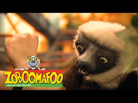 Zoboomafoo 110 - Climbing (Full Episode)