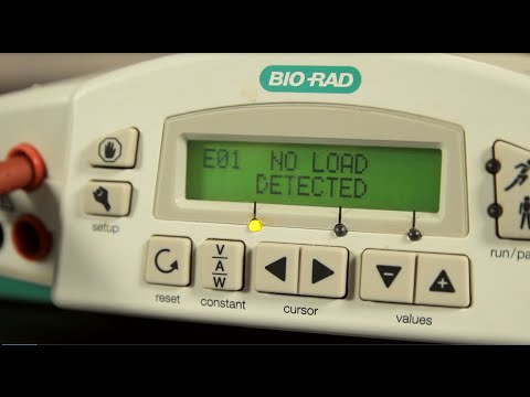 PowerPac™ Power Supplies: Troubleshooting the E01 Error Message