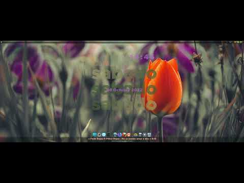 Fede Rojas ft Pitico Rojas - No se puede amar a dos