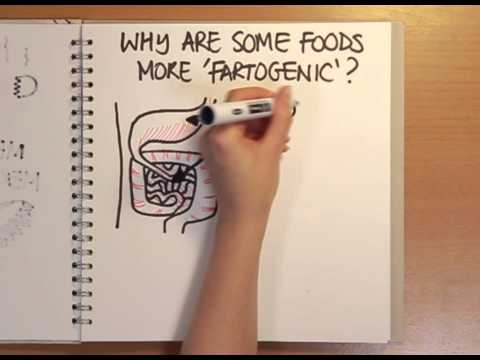 download lagu mp3 mp4 Why Do Sprouts Make You Fart, download lagu Why Do Sprouts Make You Fart gratis, unduh video klip Why Do Sprouts Make You Fart