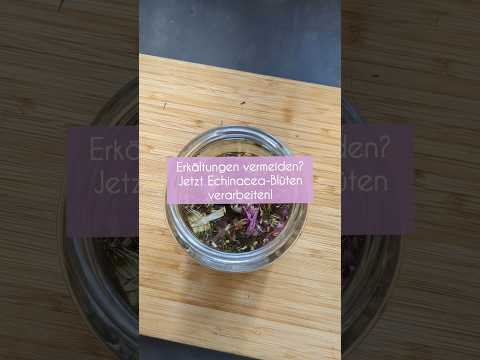 #Echinacea - Jetzt Tinktur an setzen und dein #Immunsystem stärken!