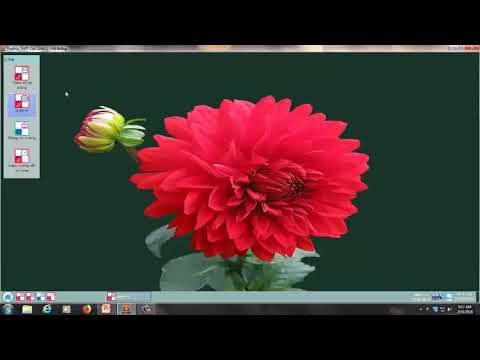 1. Viettel- Ba bước sắp TKB