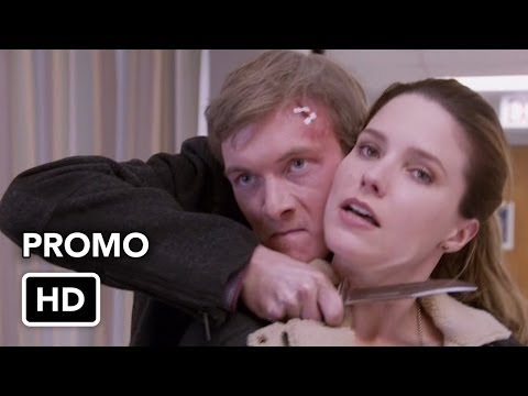 Chicago PD. - 12ª Temporada (Dublado) 