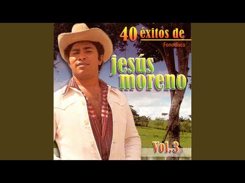 Mosaico Nº 3: Chaparralito Llane / Adios Barrancas De Arauca / Caracas Heroica / El Lazo Del...