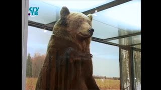 Ссылка