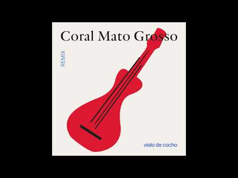 Viola de Cocho