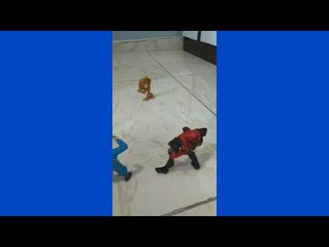 O FACE NOS ATACOU E TIVEMOS QUE FUGIR PELA PISCINA! - MUITO ASSUSTADOR!