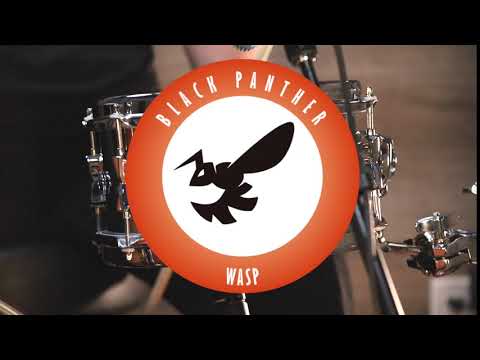 Mapex Black Panther Wasp 10 x 5.5 Seamed Steel Snare Drum image 10