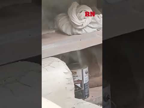 Un puma apareció en un galpón y generó preocupación en Pilcaniyeu