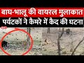 Ranthambore बाघ और भालू का आमना सामना पर्यटको�