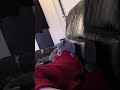 Dancing Avin Cat Alvin Alvinmovie