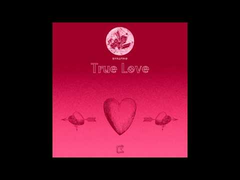 'True Love' (Motez Remix) - Nick Lynar  ***PREVIEW***