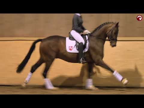 Zakaria v. Zoom - Fürst Nymphenburg I - Davignon I