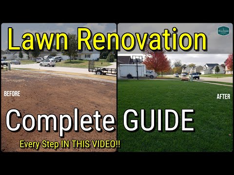 How To Fix Your Lawn with Renovation // All The Steps In One Video!!