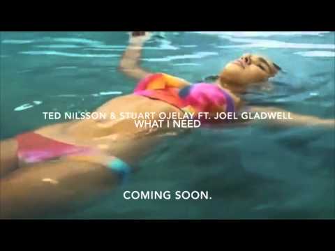 Ted Nilsson, Stuart Ojelay ft. Joel Gladwell - WHAT I NEED
