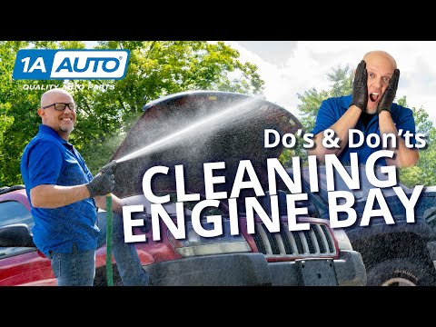 Don't Just Spray Your Car's Engine Bay! Right and Wrong Way to Clean an Engine Bay!