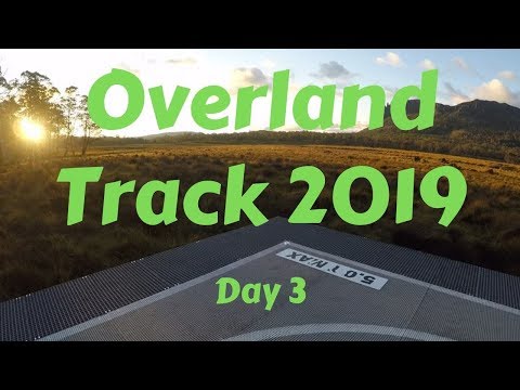 Overland Track 2019 - Day 3
