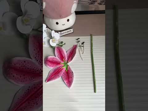 diy lily flower 🌷