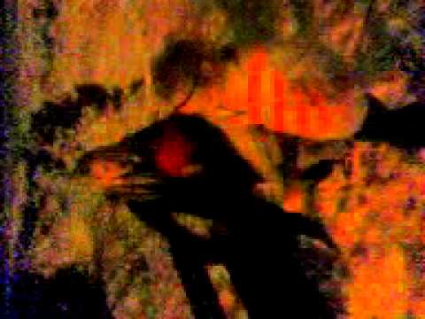 pansionsjävlar (pensionärsjävlar)