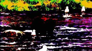 Gravity by Laura Veirs