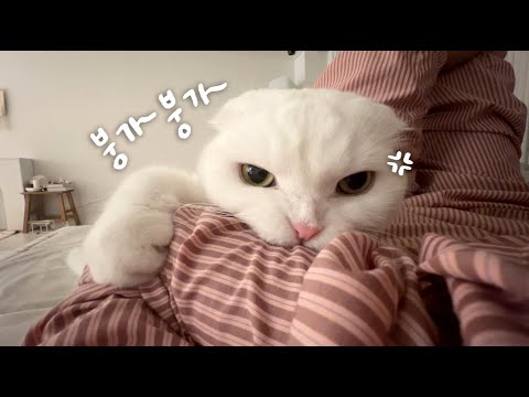 이제 최애는 엄마 맞지.....????