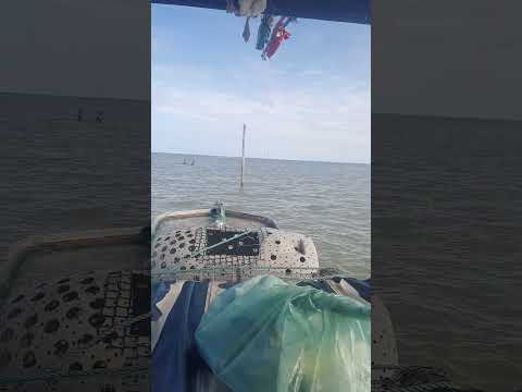 Fabiano tomando um mergulho já praia de paripueira Alagoas ❤️ #piscineiro #fish