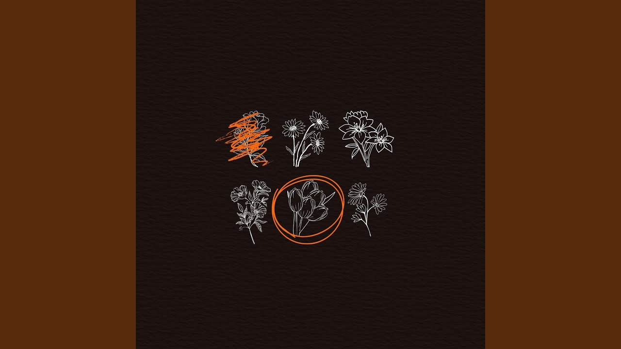 WHYLUCAS - Tulips