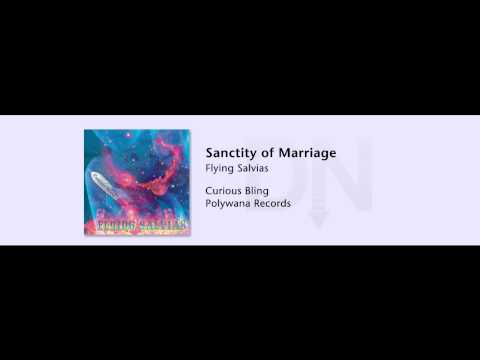 Flying Salvias - Curious Bling - 05 - Sanctity of Marriage