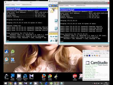 CCNA 2 Packet Tracer Activity 4.3.2.5 solution