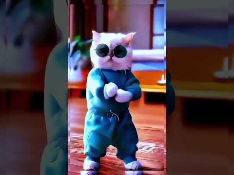 The Cat Dance Trend Is Out Of Control