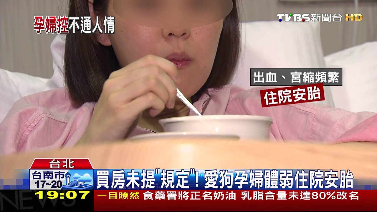 寵物不落地!孕婦控遭求抱2狗 影響情緒