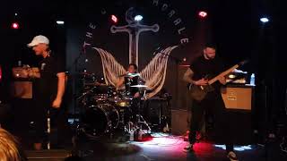 The Color Morale - Hummannequin Live