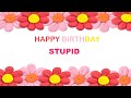 Stupid Birthday Postcards Postales Happy Birthday