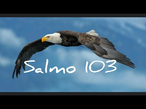 Salmo 103 comentado